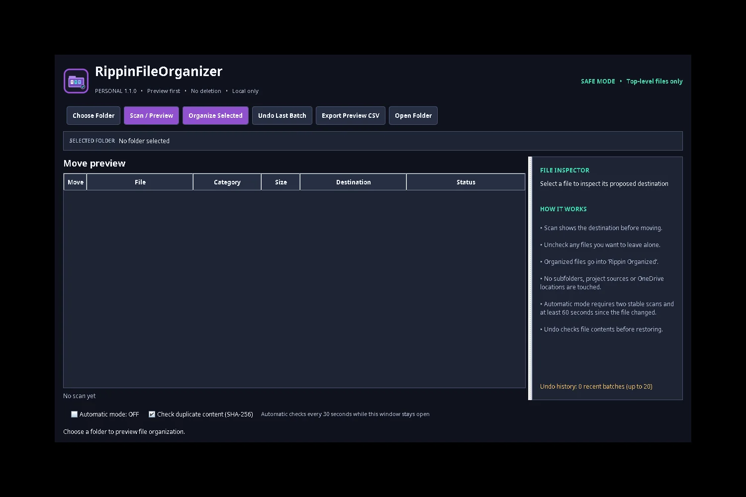 FileOrganizer workspace — earlier 1.1.0 test capture